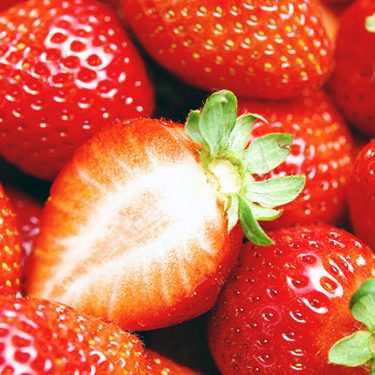 2017.03.07_sunagawa_blog_13