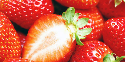 2017.03.07_sunagawa_blog_13