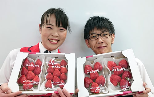 みんな大好き 果物の売れ筋ランキングベスト100 りんくう情報局 愛知県知多半島に展開するパチンコ有楽グループ
