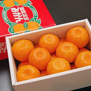 2017.05.17_sumiyoshi_blog_1