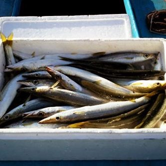 2017.06.15_honten_blog_6