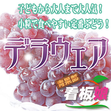 2017.06.30_honbu_blog_10