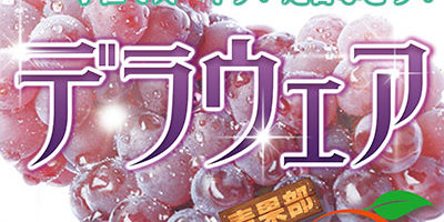 2017.06.30_honbu_blog_10