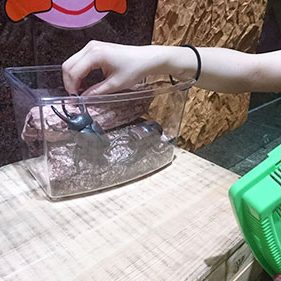 2017.07.26_ekimae_blog_1