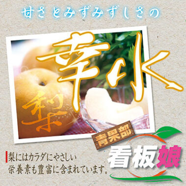 2017.08.30_honbu_blog_8