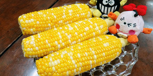 2017.09.15_honten_blog_3