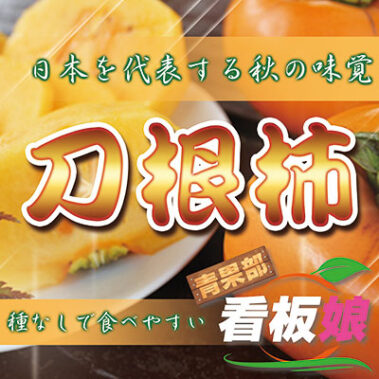 2017.09.30_honbu_blog_4