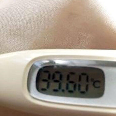 2017.11.06_shinden_blog_4