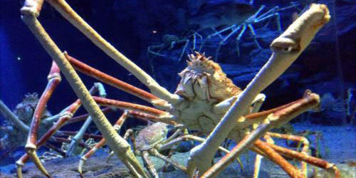 2017.12.15_honten_blog_1