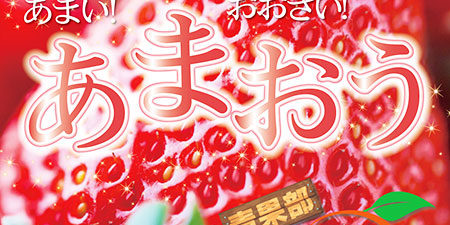 2017.1.30_honbu_blog_14