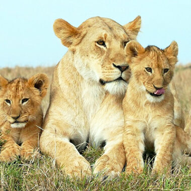 2018.02.15_honten_blog_8