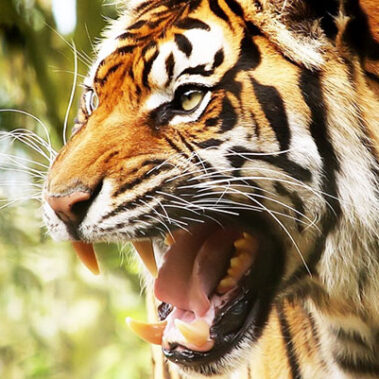 2018.03.06_shinden_blog_7