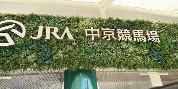 2018.03.28_ano_blog_1