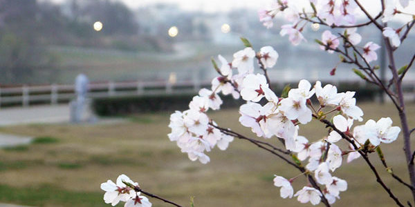 2018.04.05_sanpo_14