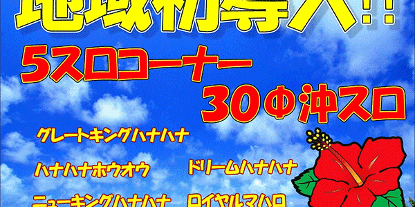 2018.04.08_rinku_blog_1