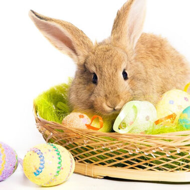 2018.04.09_kuchida_blog_3