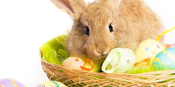 2018.04.09_kuchida_blog_3