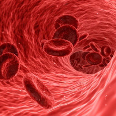 2018.04.20_shinden_blog_5