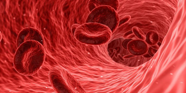 2018.04.20_shinden_blog_5