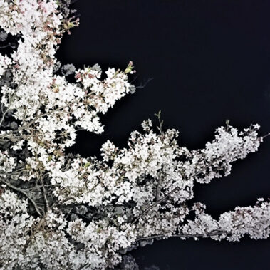 2018.04.25_morioka_blog_24