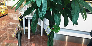 2018.05.14_ano_blog_10