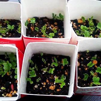 2018.05.15_honten_blog_2