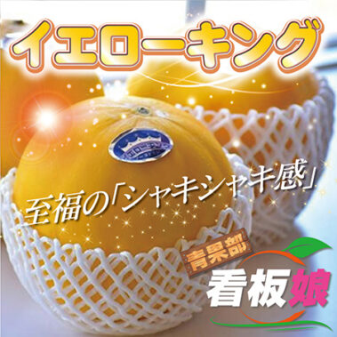 2018.05.31_honbu_blog_0