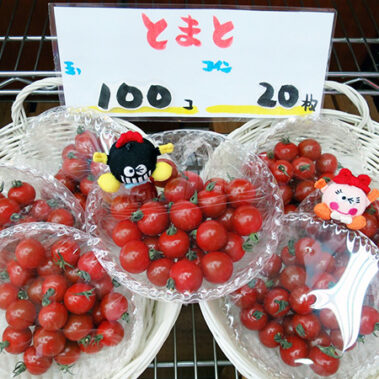 2018.06.01_honten_blog_3