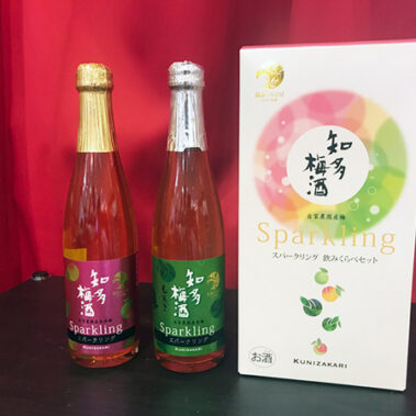 2018.06.09_kuchida_blog_2