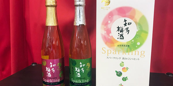 2018.06.09_kuchida_blog_2