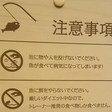 2018.06.11_kinuura_blog_8