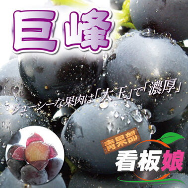 2018.06.30_honbu_blog_0