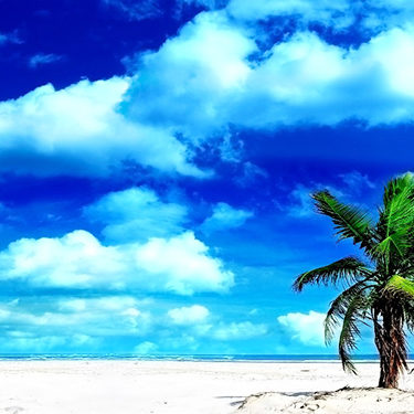 2018.07.28_ano_blog_1