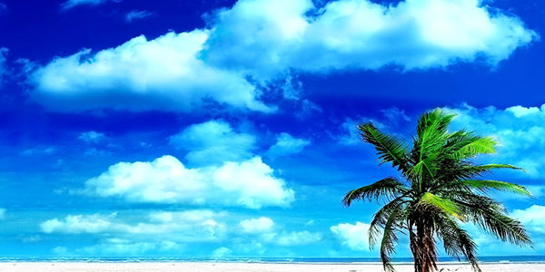 2018.07.28_ano_blog_1