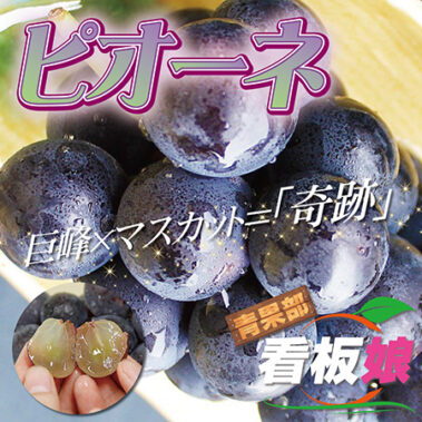 2018.07.30_honbu_blog_0