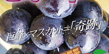 2018.07.30_honbu_blog_0