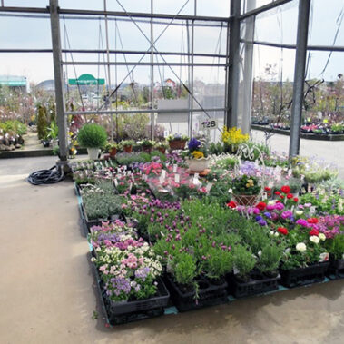 2018.08.15_honten_blog_1