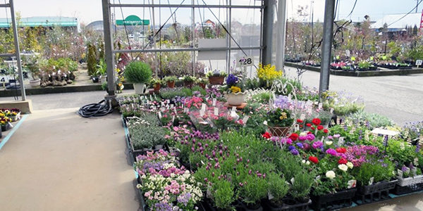 2018.08.15_honten_blog_1