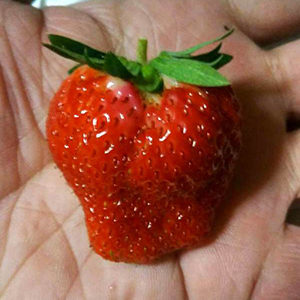 2018.10.15_honten_blog_6