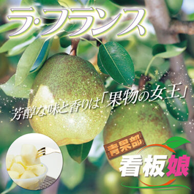 2018.10.30_honbu_blog_0