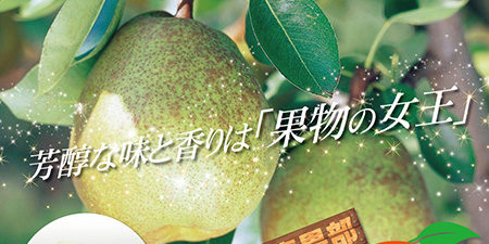 2018.10.30_honbu_blog_0