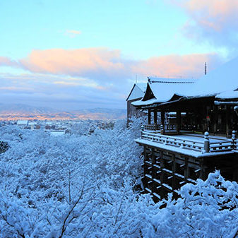 2018.11.27_kyowa_blog_1