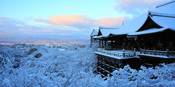 2018.11.27_kyowa_blog_1