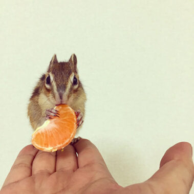 2018.12.23_kuchida_blog_1