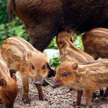 2019.01.05_higashihama_blog_1