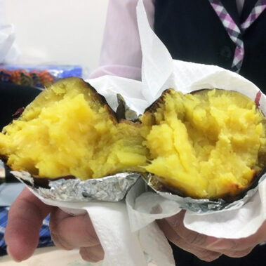 2019.01.06_shinden_blog_8