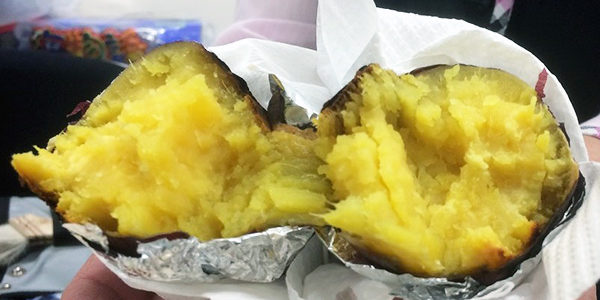 2019.01.06_shinden_blog_8
