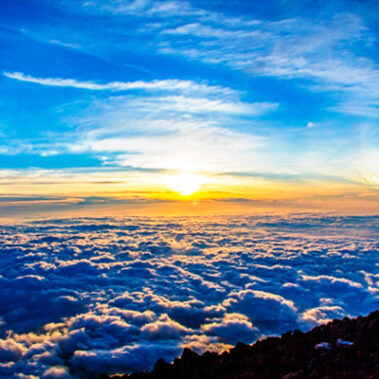 2019.01.14_ano_blog_1