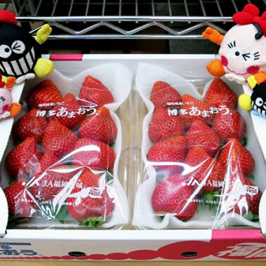 2019.01.15_honten_blog_1