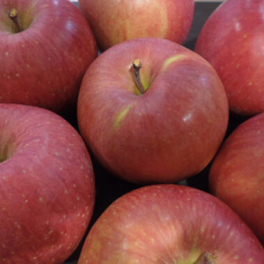 2019.01.23_kuchida_blog_1